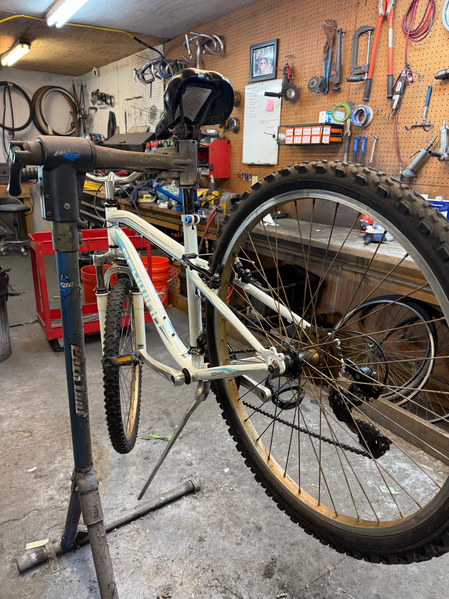 Schwinn "Sidewinder"