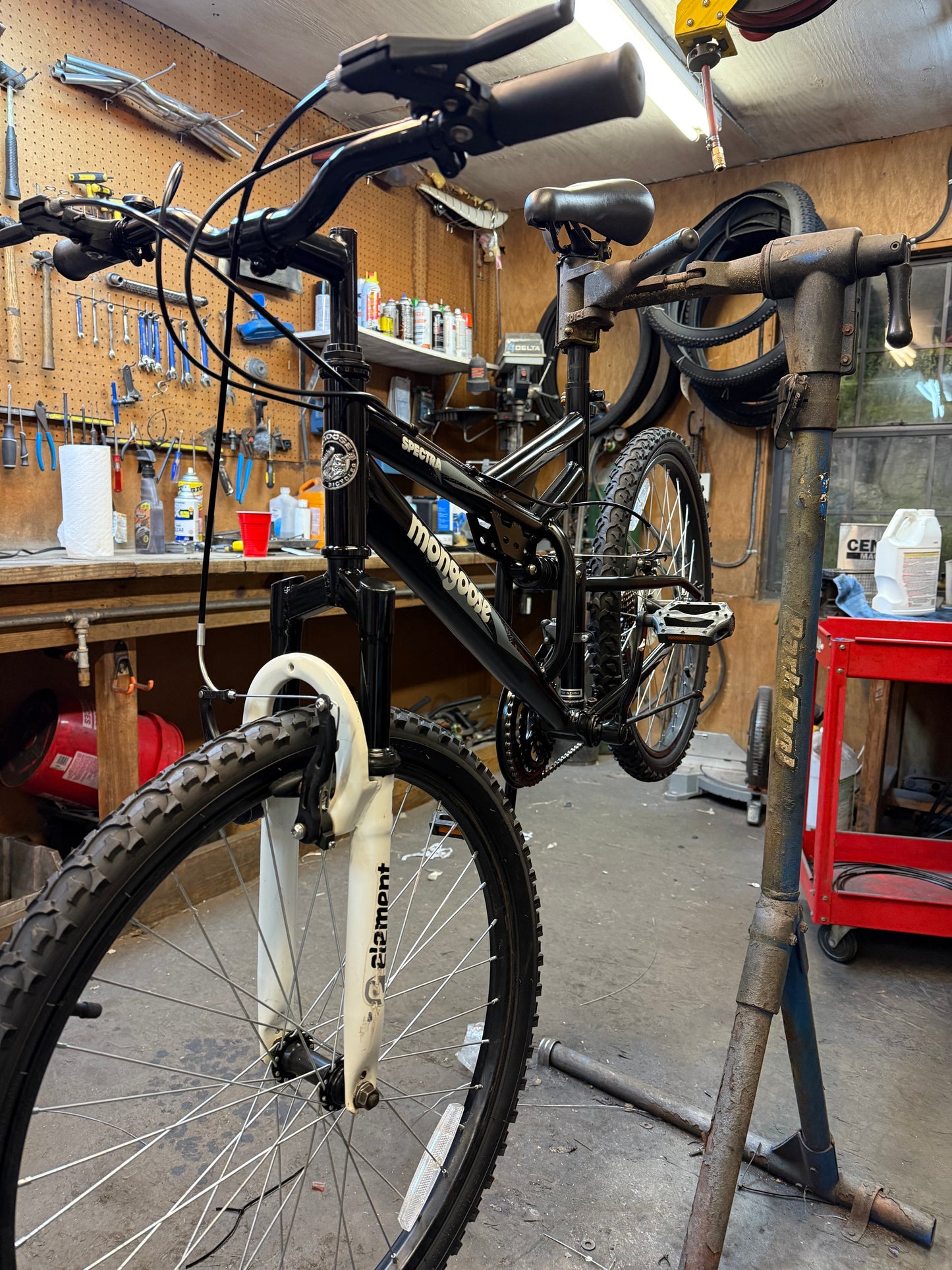 Mongoose "Spectra"