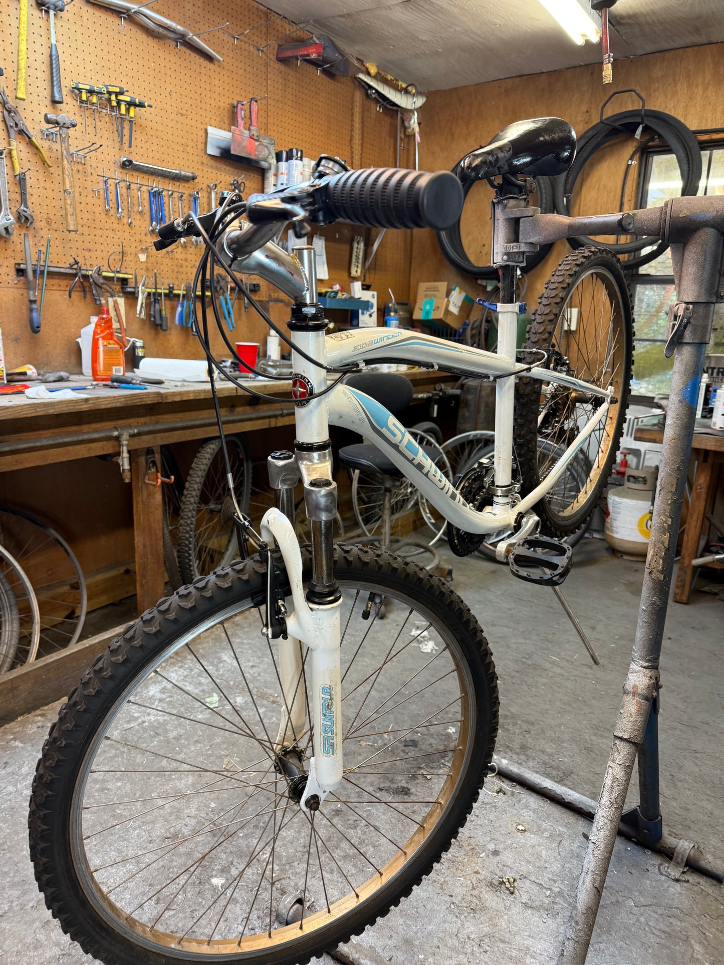 Schwinn "Sidewinder"