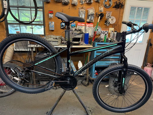 Schwinn "Sindwinder"
